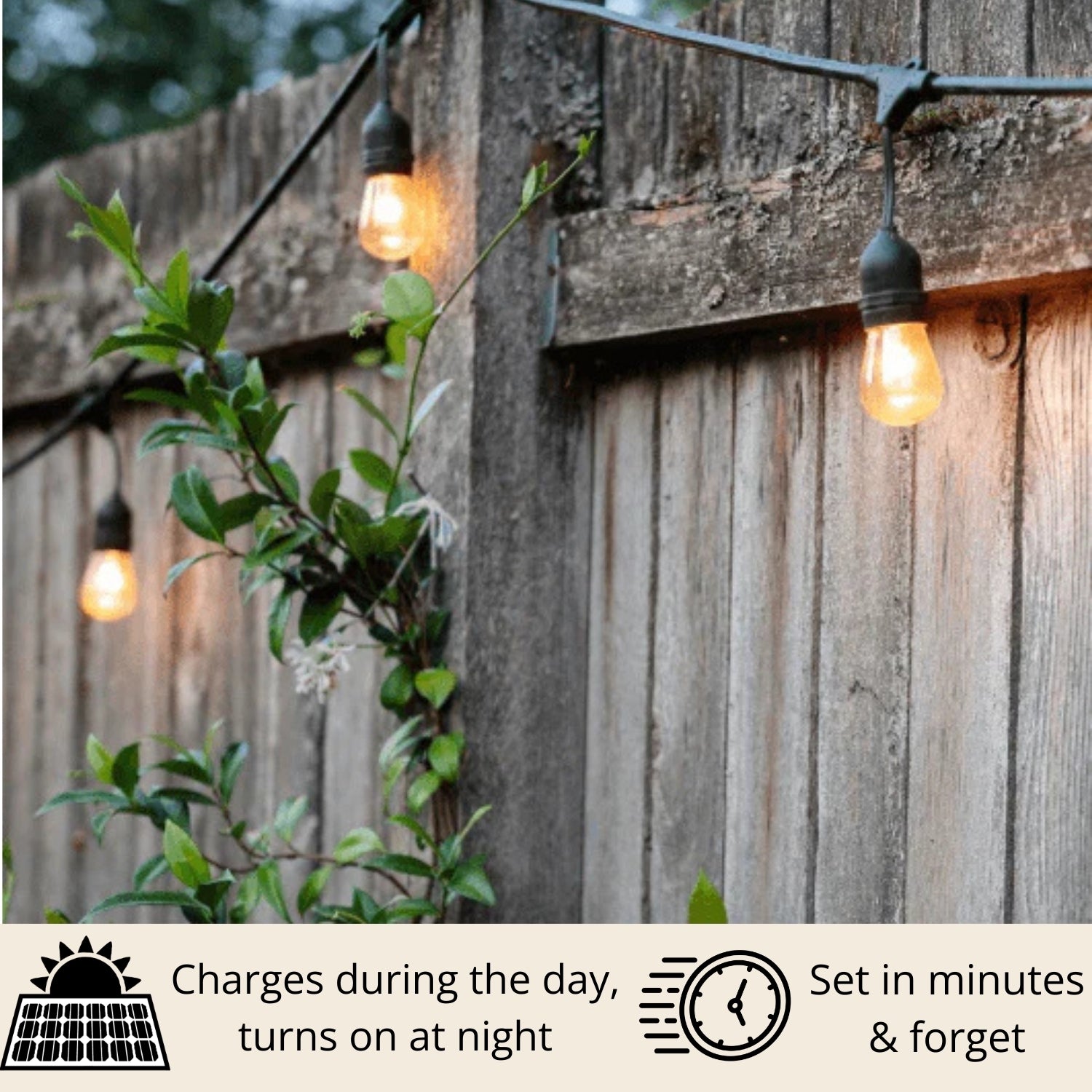 SolyraGarden™ Solar Festoon Lights